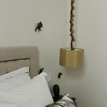 Ilha 12 Gasthuis Coimbra